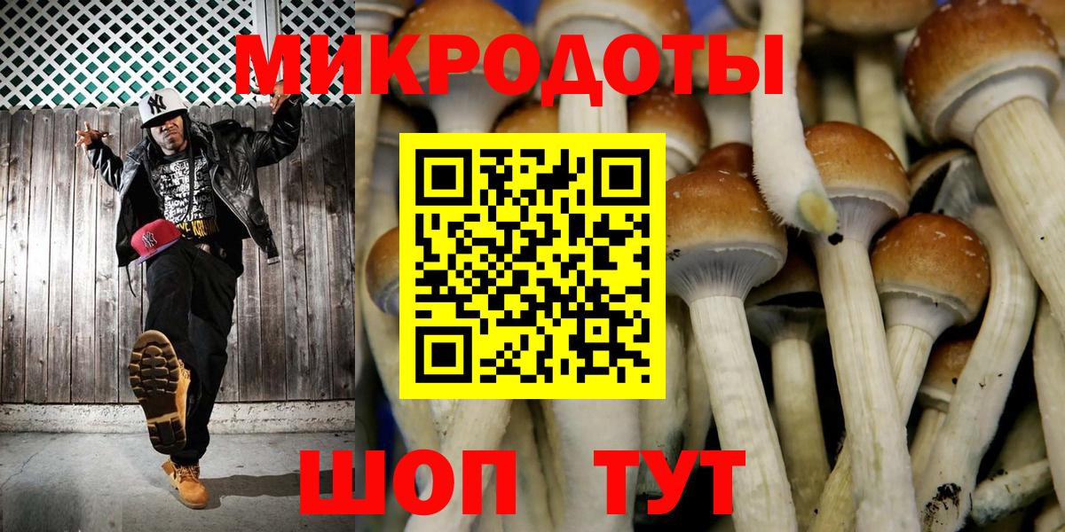 Клинцы  Галлюциногенные грибы Cubensis  Вход с VPN 