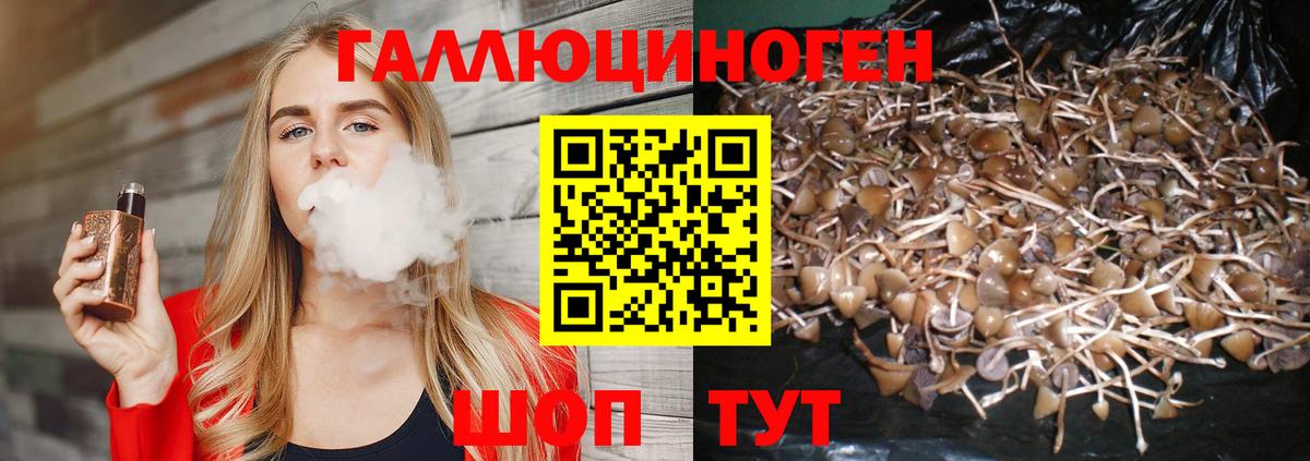 Галлюциногенные грибы Cubensis Клинцы